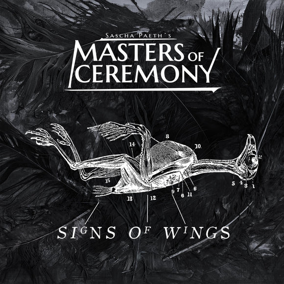 SASCHA PAETH'S MASTERS OF CEREMONY - Signs Of Wings - LP